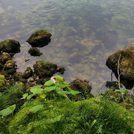 Апартаменты Apartma Rozmarin Бохинь